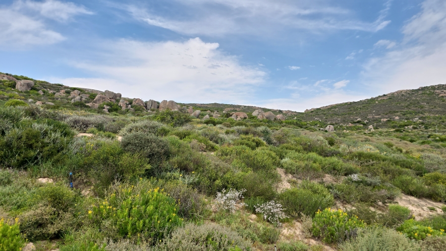 0 Bedroom Property for Sale in St Helena Views Western Cape